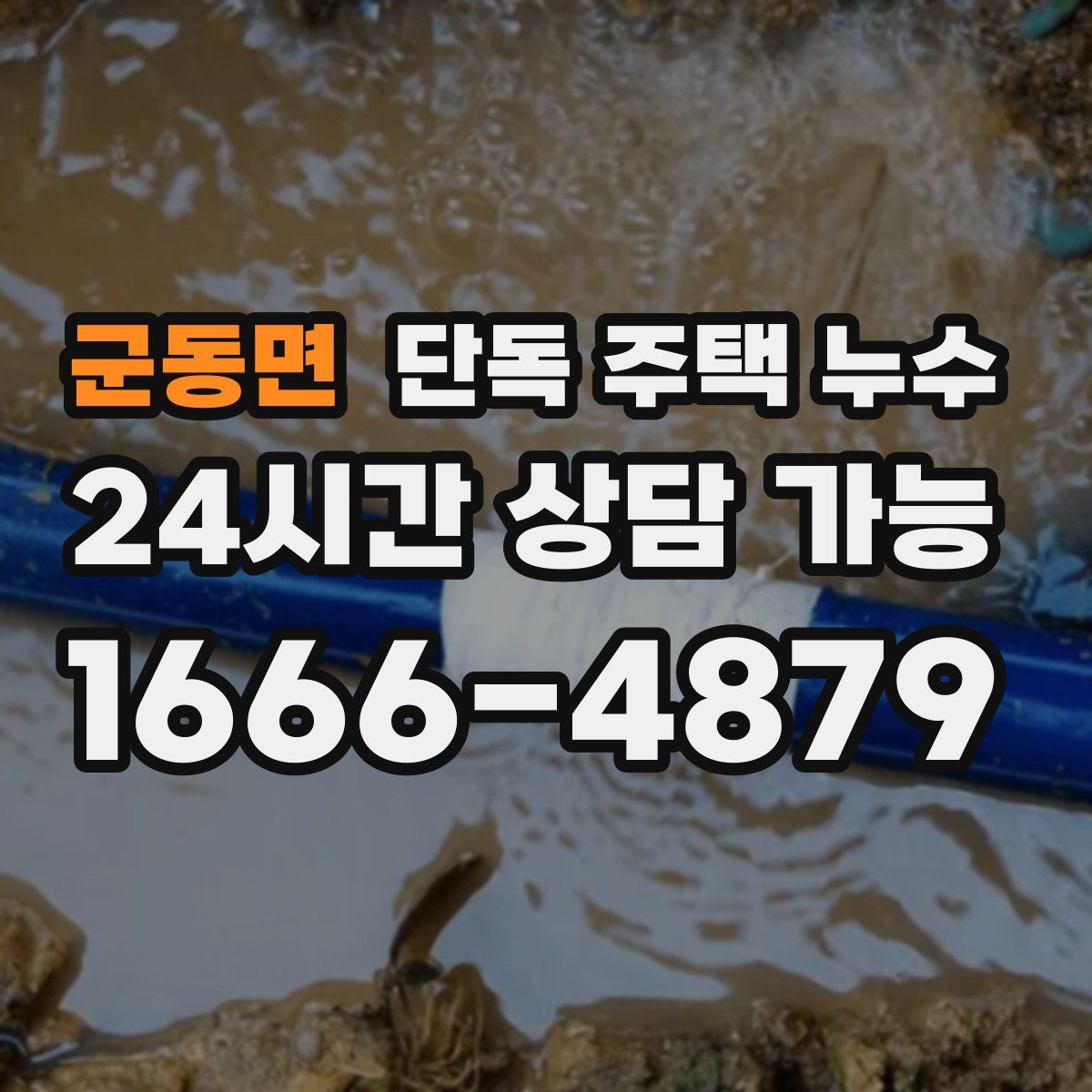 군동면 단독 주택 누수