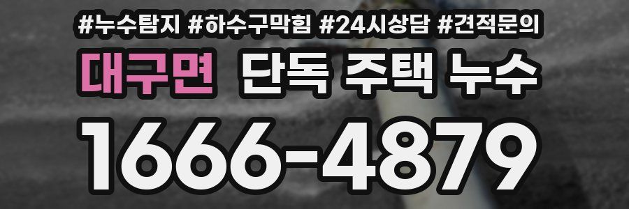 대구면 단독 주택 누수