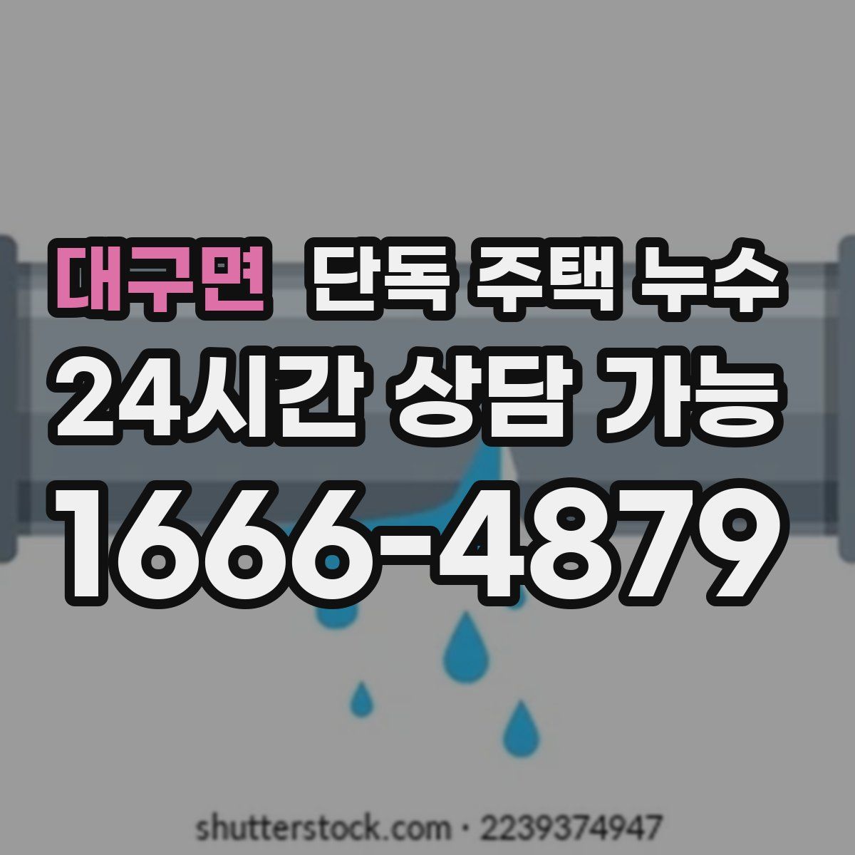 대구면 단독 주택 누수