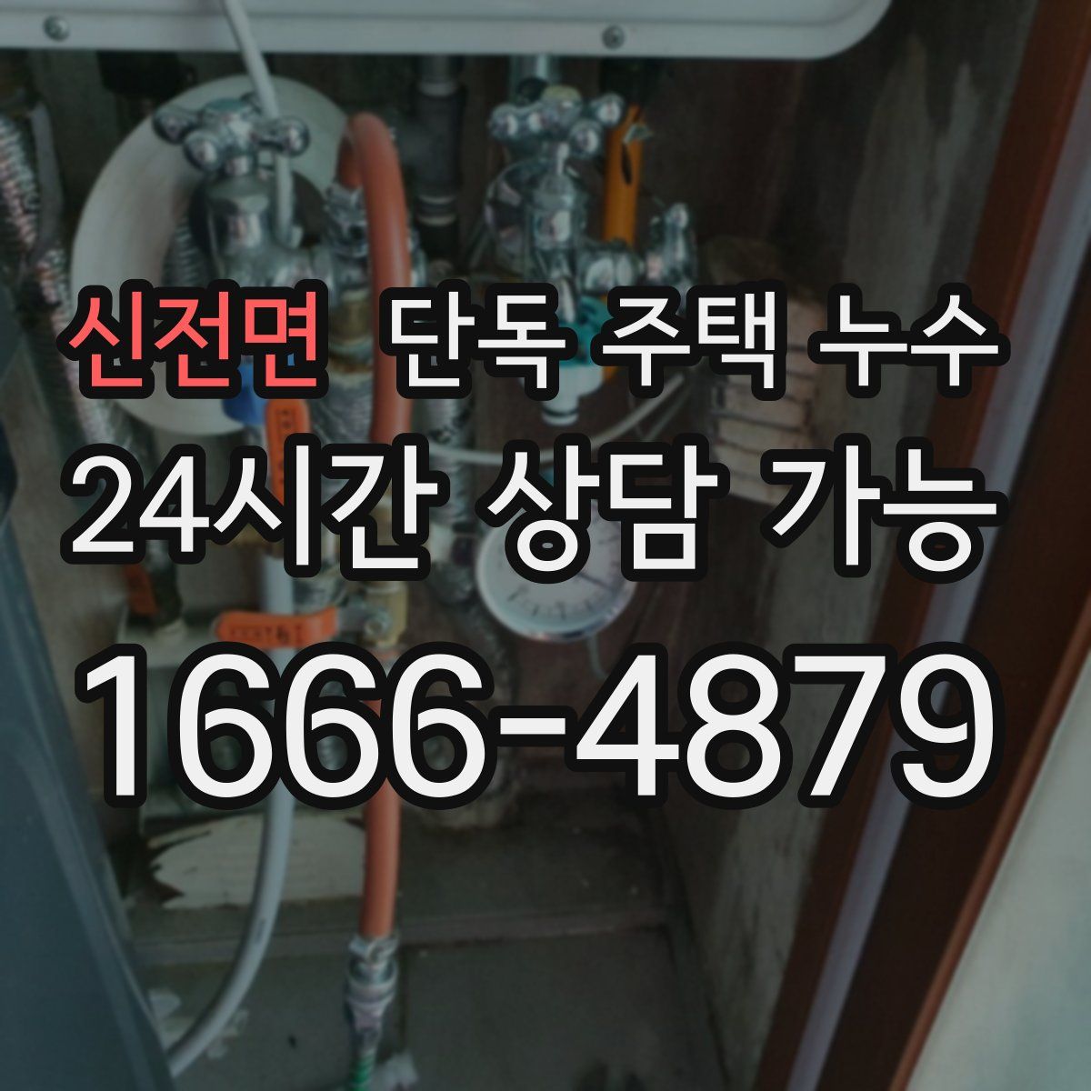 신전면 단독 주택 누수