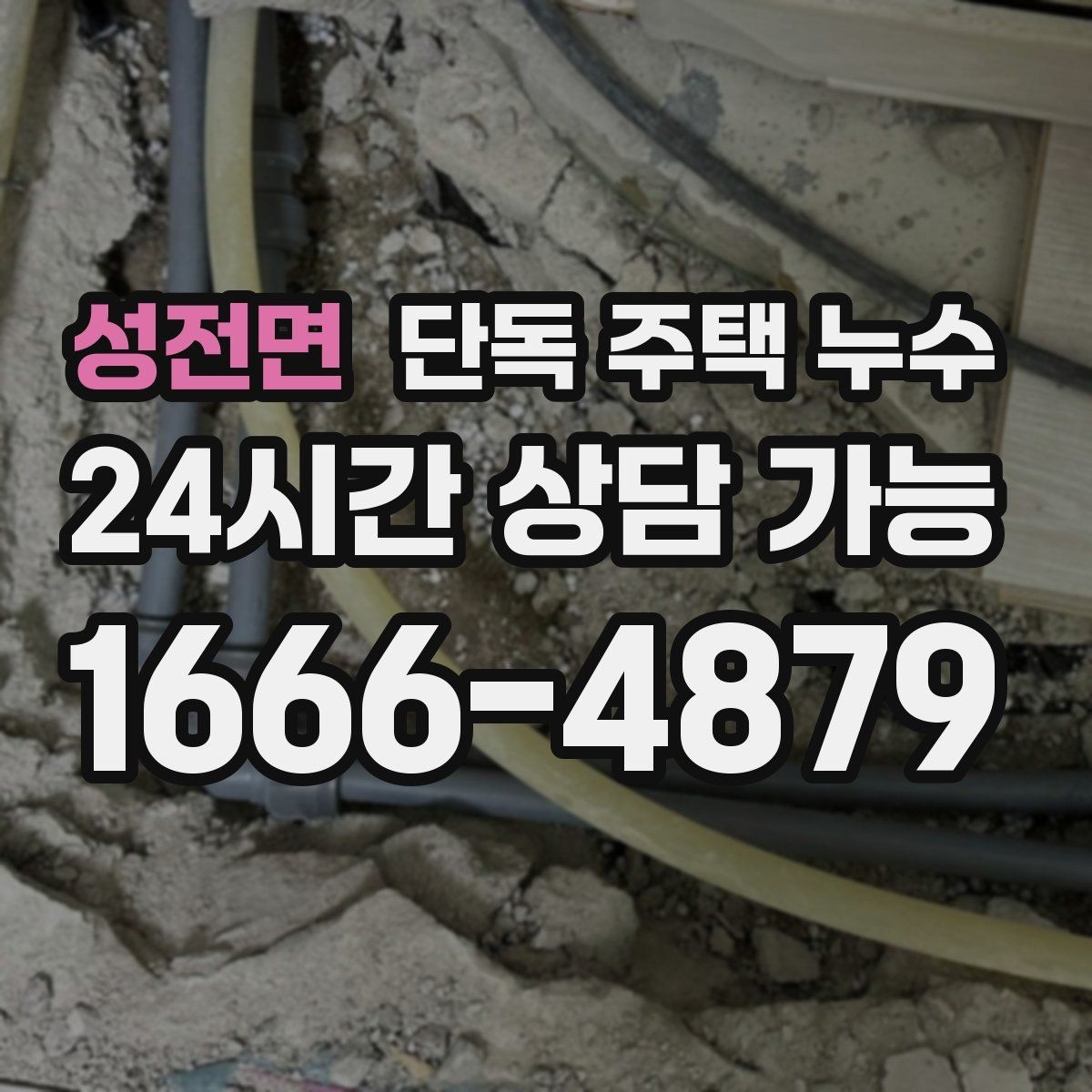 성전면 단독 주택 누수 벽지 이음선 따라 물자국이 생길 때