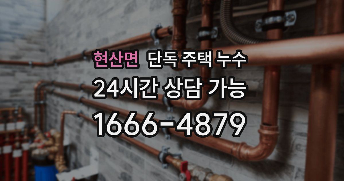 현산면 단독 주택 누수