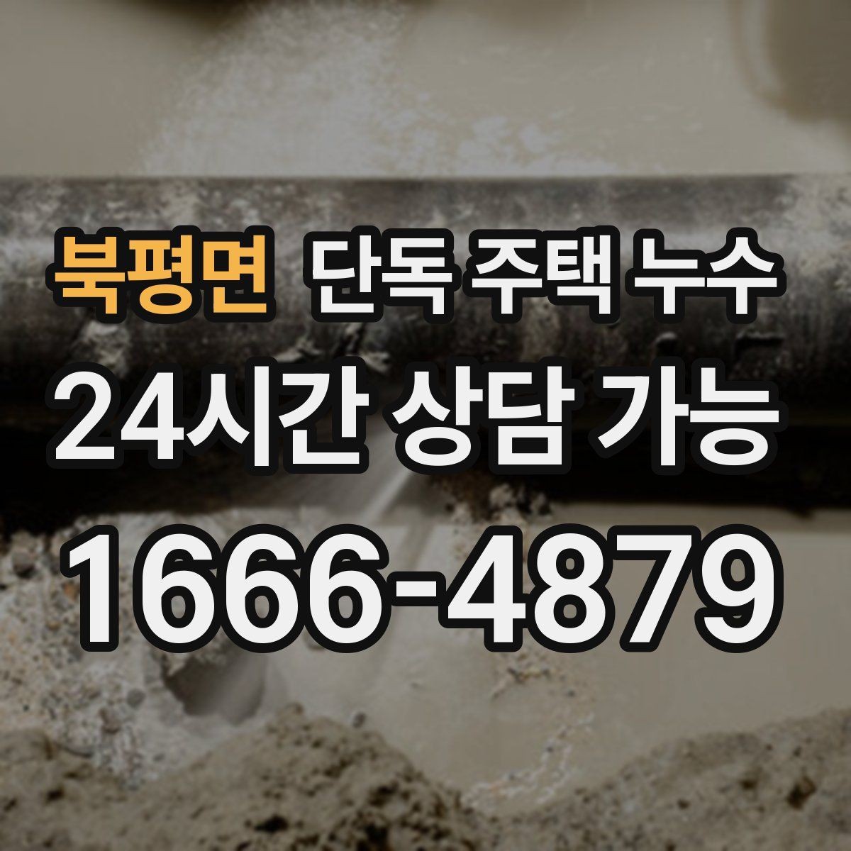 북평면 단독 주택 누수 담장 쪽 물고임이 벽으로 스며드는 경우