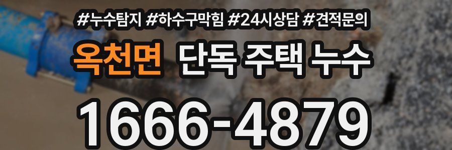 옥천면 단독 주택 누수