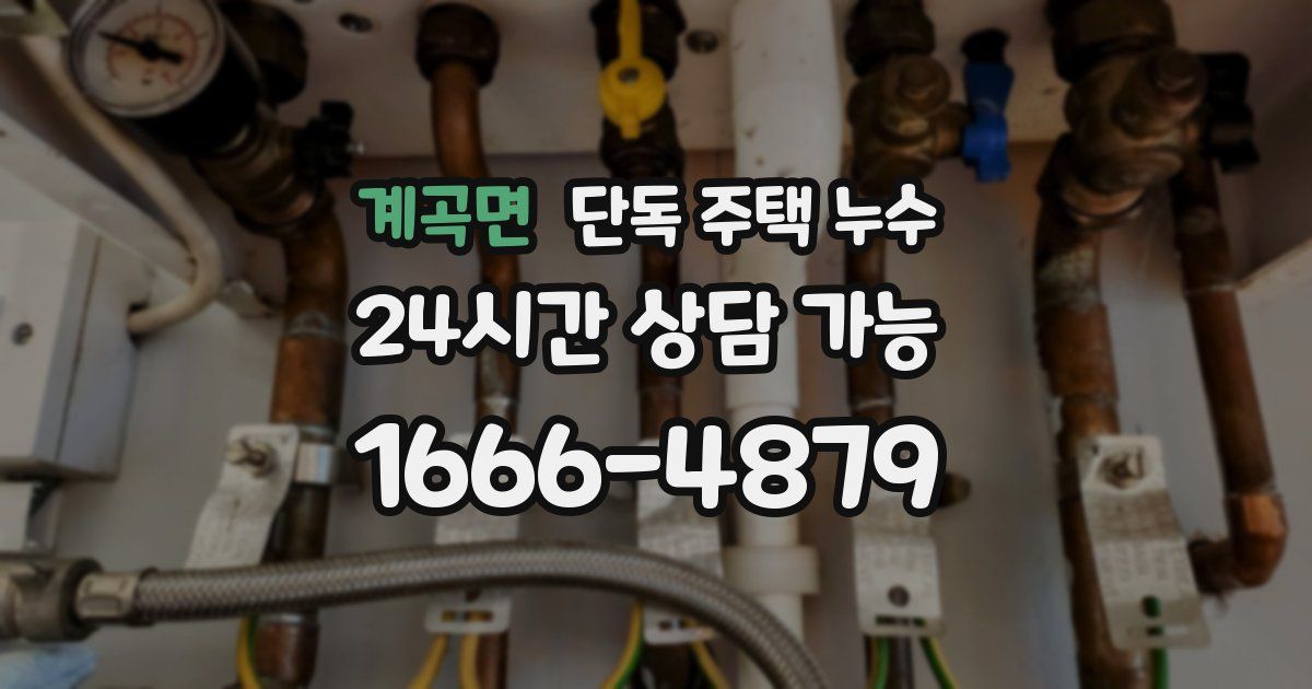 계곡면 단독 주택 누수