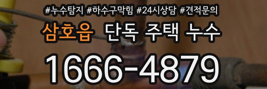 삼호읍 단독 주택 누수