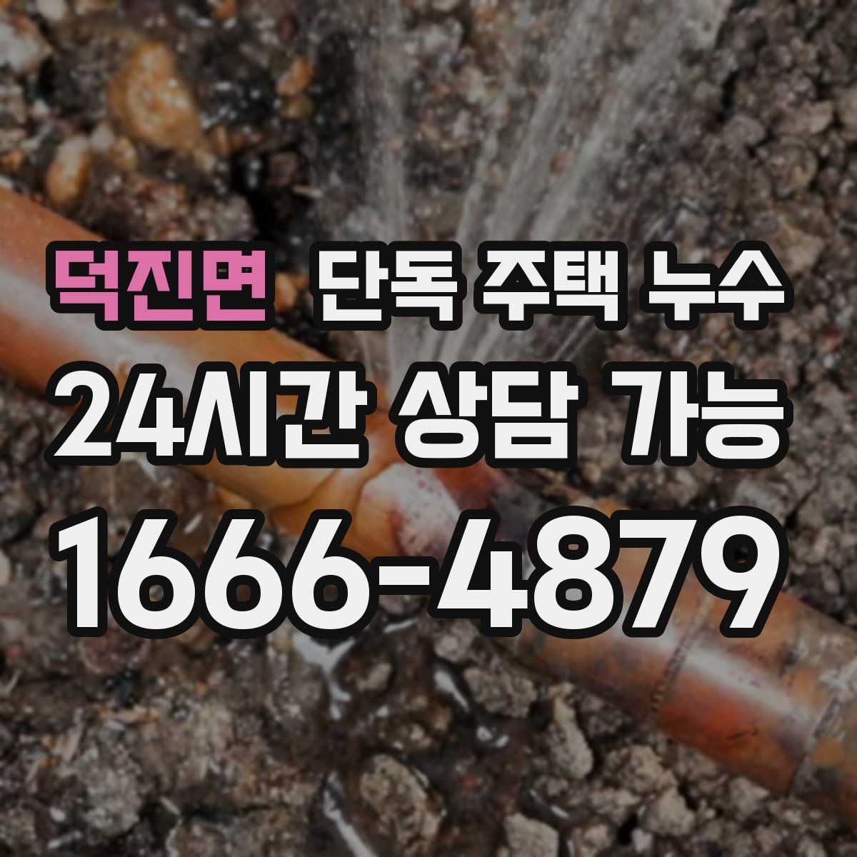 덕진면 단독 주택 누수 마당 배수로 정비가 중요한 이유