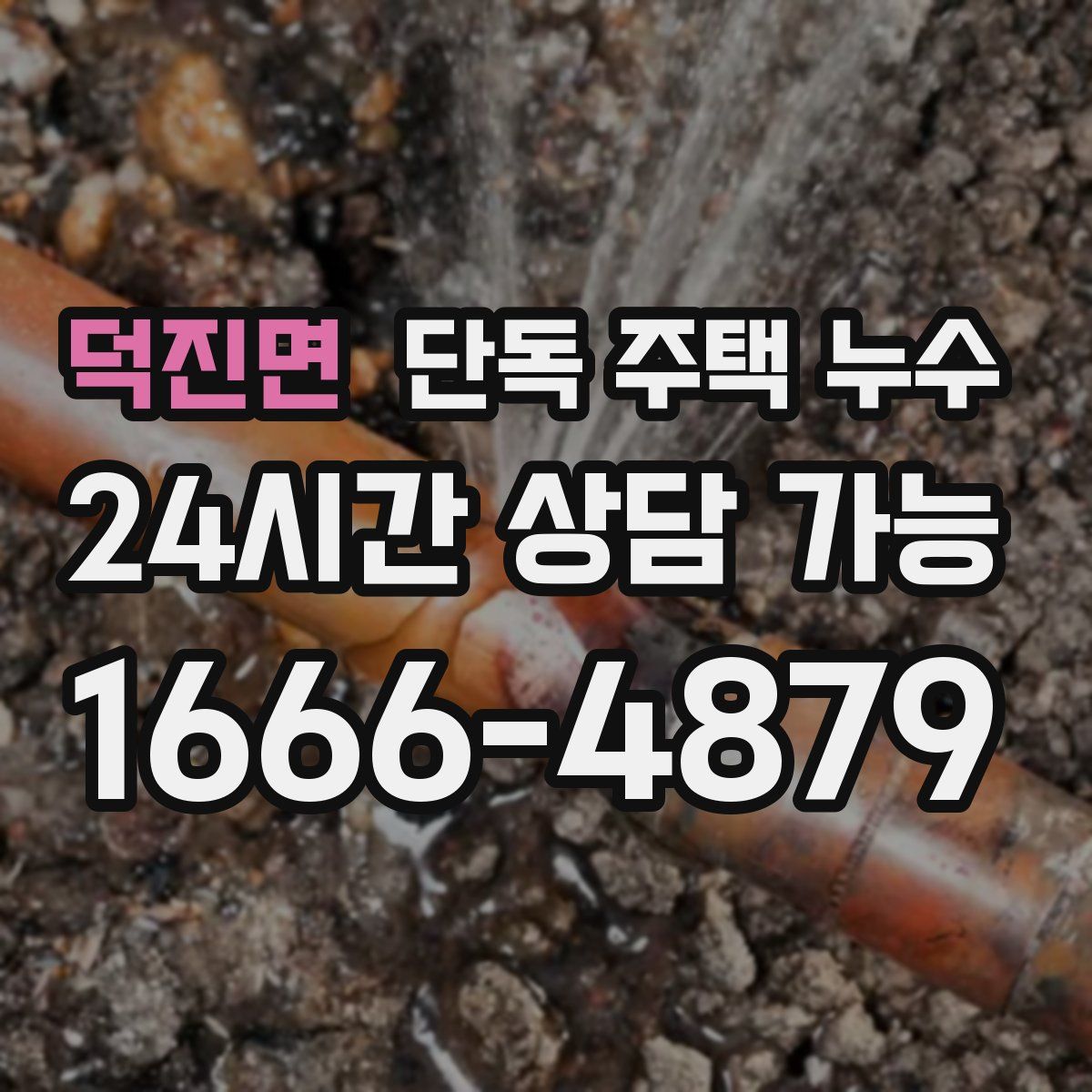 덕진면 단독 주택 누수