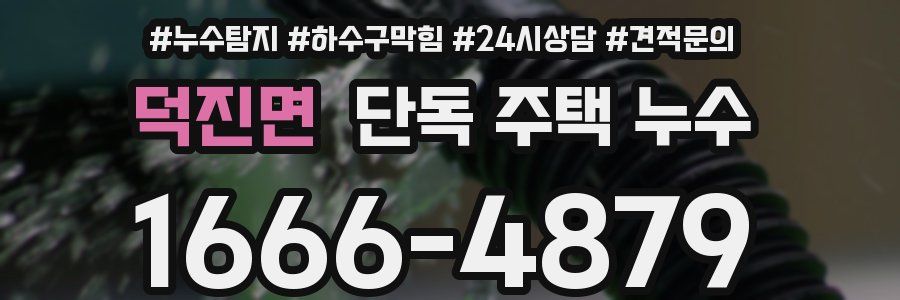 덕진면 단독 주택 누수