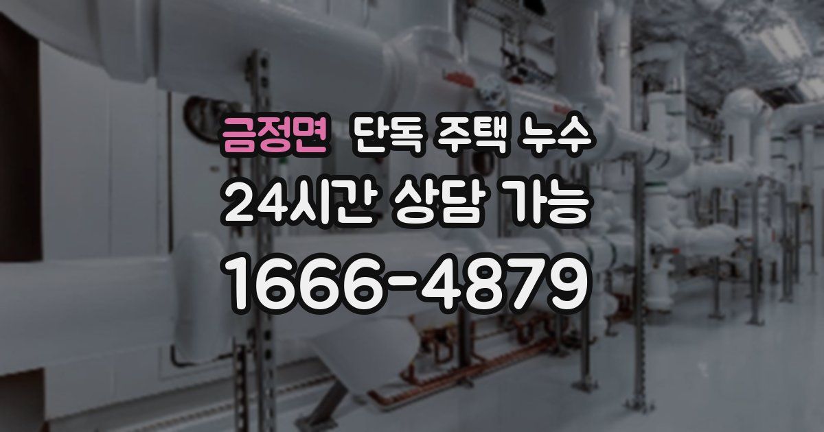 금정면 단독 주택 누수