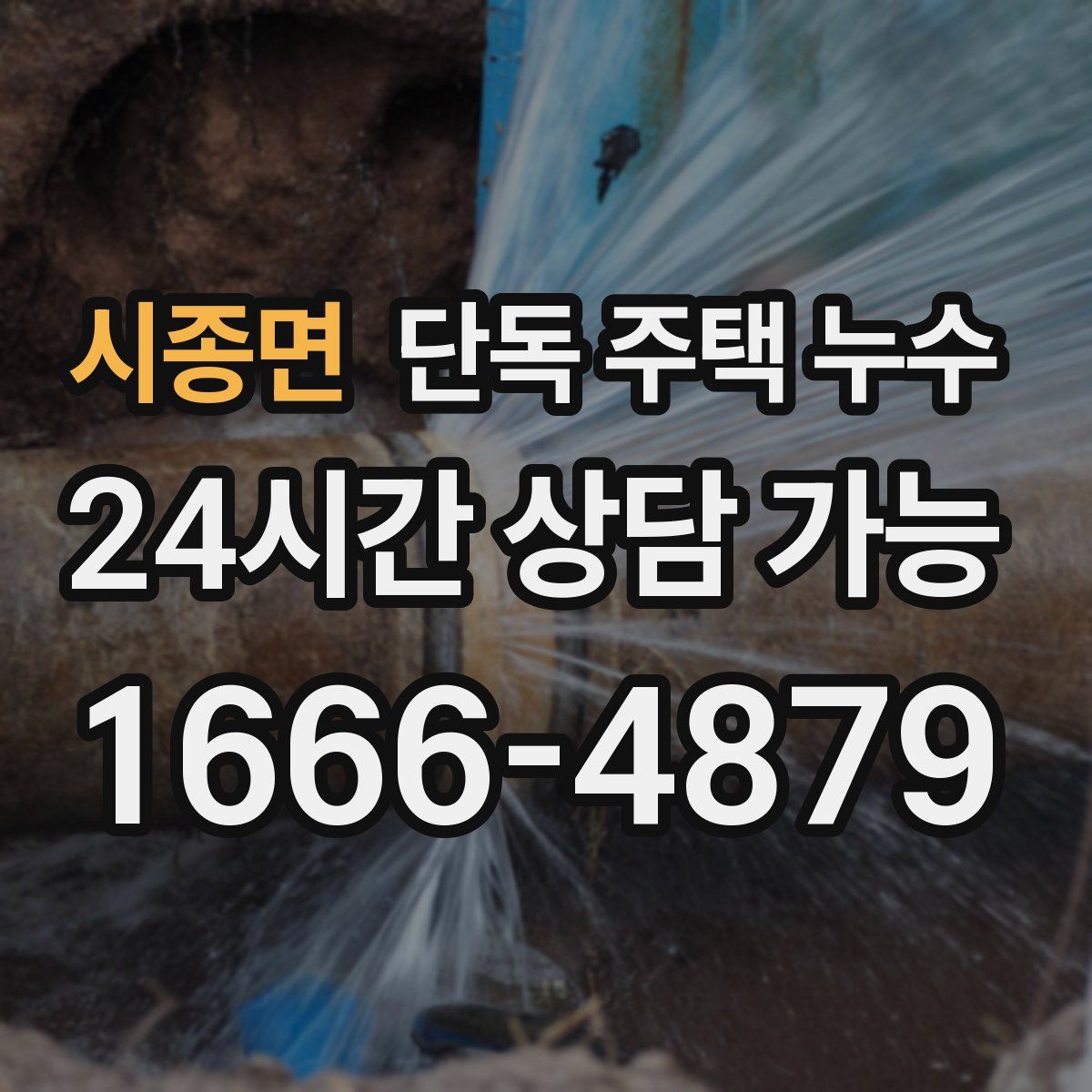 시종면 단독 주택 누수