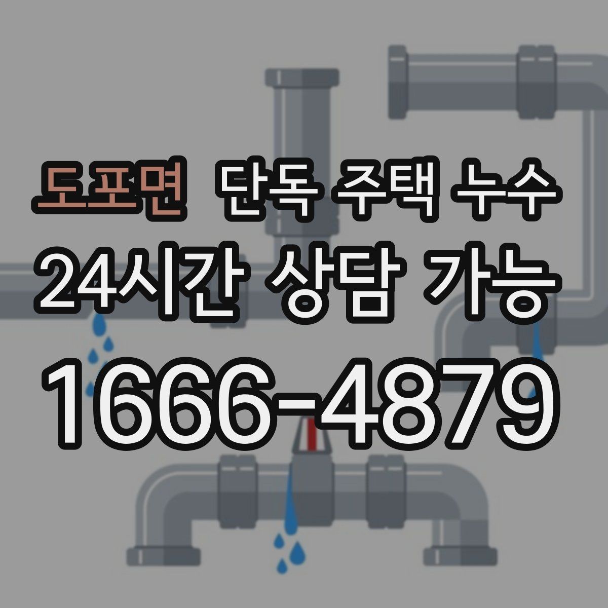 도포면 단독 주택 누수 마당 경사와 배수 불량이 원인일 때