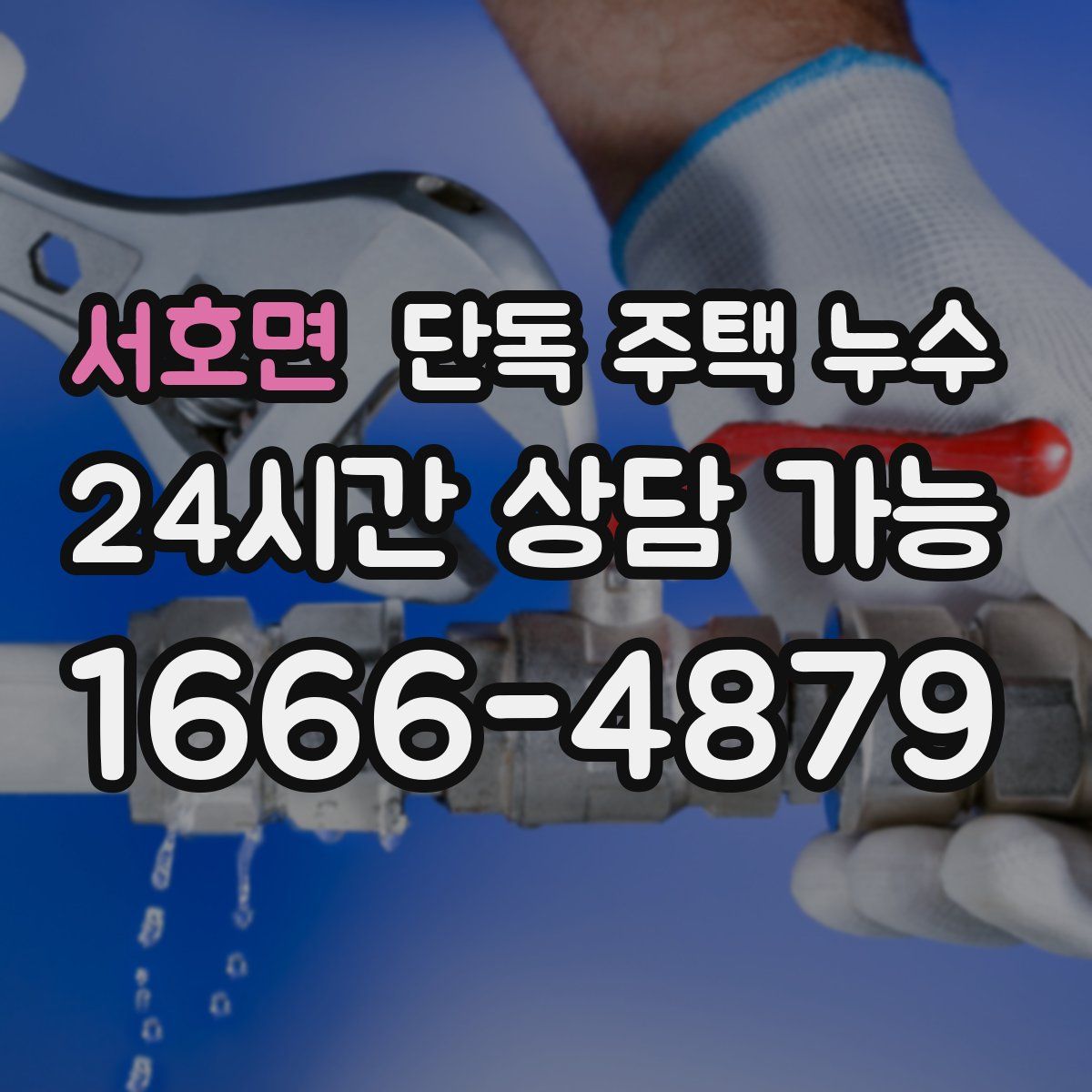 서호면 단독 주택 누수