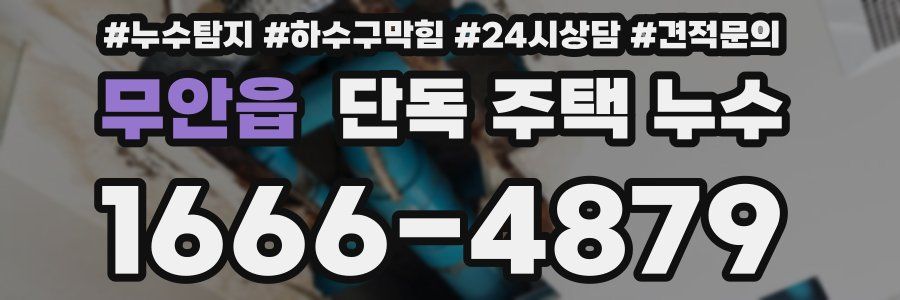 무안읍 단독 주택 누수