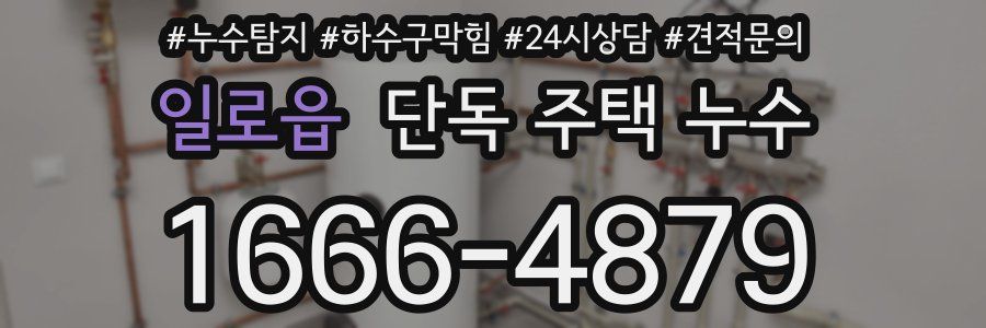 일로읍 단독 주택 누수