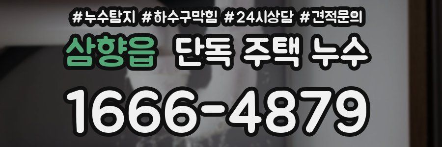 삼향읍 단독 주택 누수