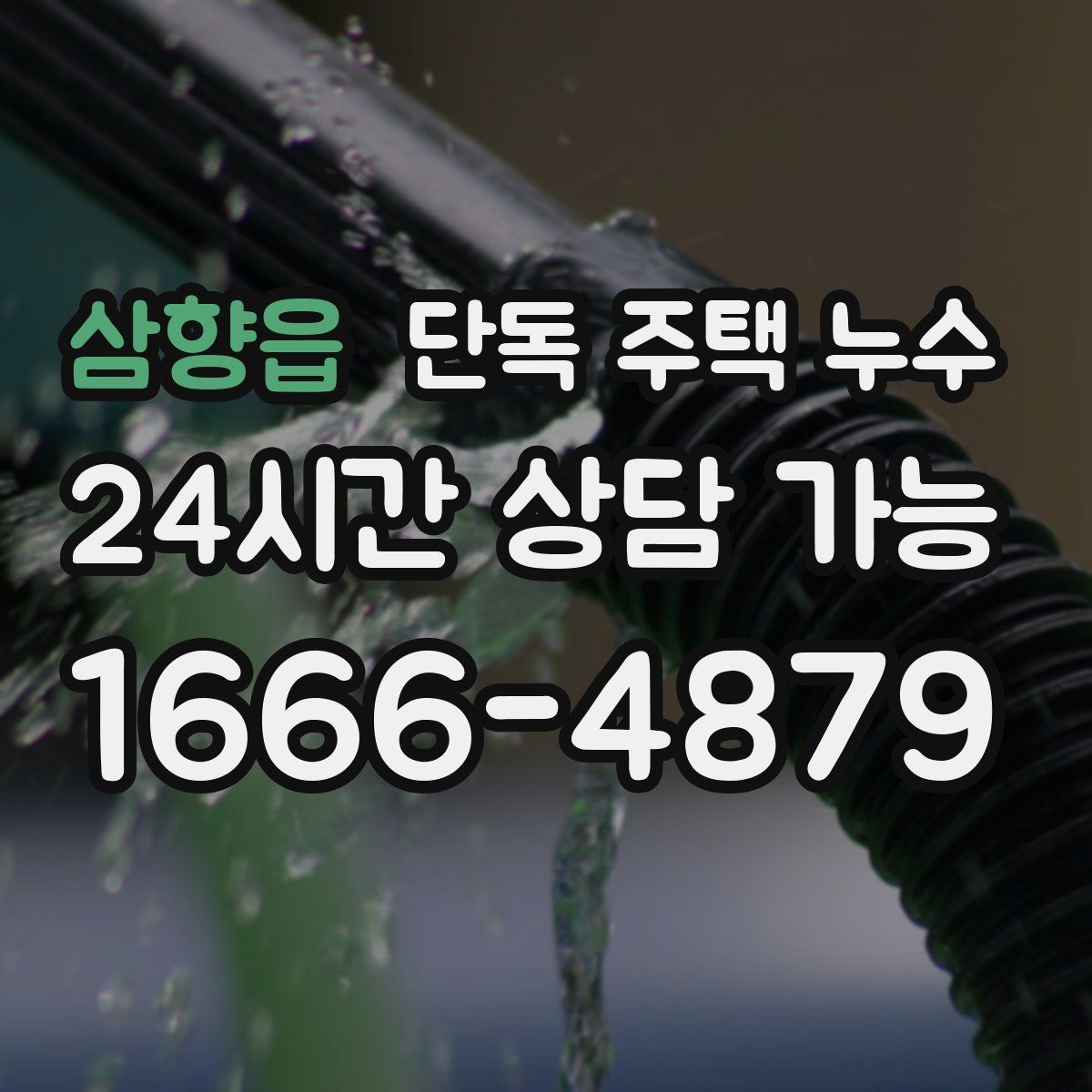 삼향읍 단독 주택 누수