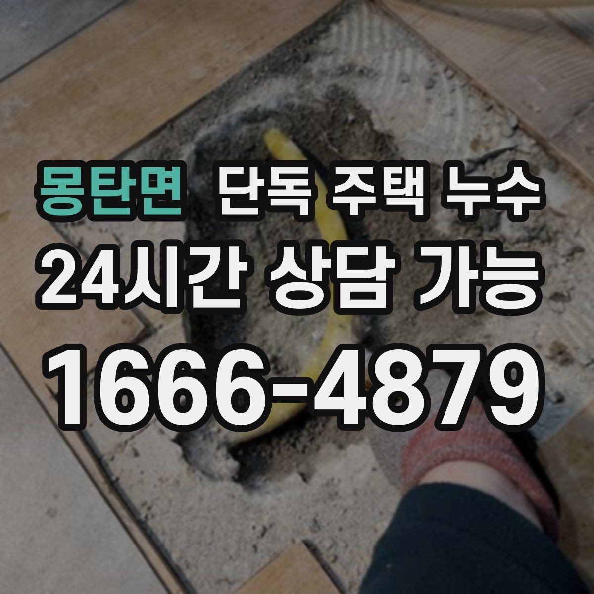 몽탄면 단독 주택 누수 도배 장판 교체를 미루고 원인부터 잡는 이유