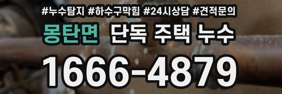 몽탄면 단독 주택 누수