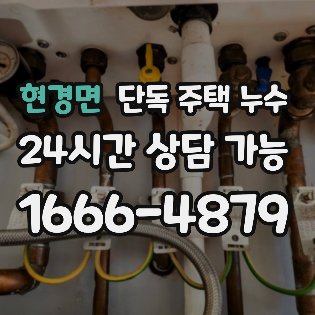 현경면 단독 주택 누수 하수관 주변 젖음으로 바닥이 축축해질 때