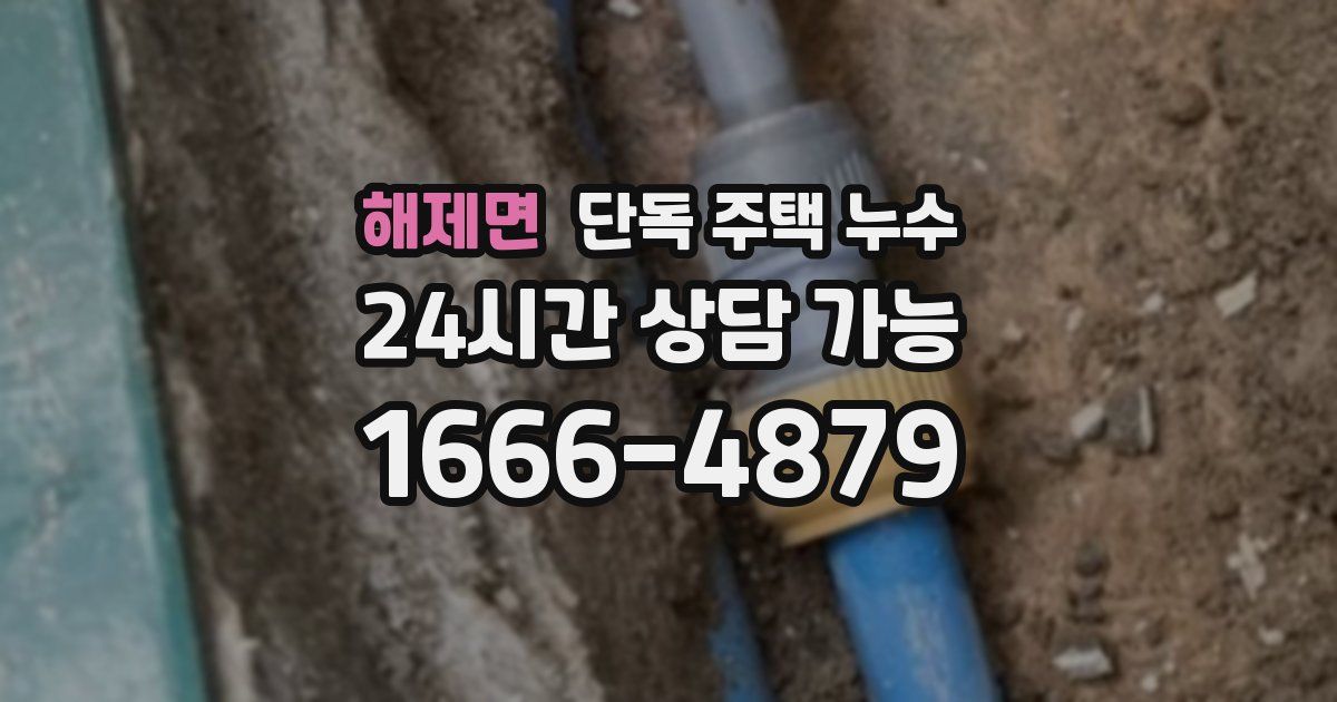 해제면 단독 주택 누수