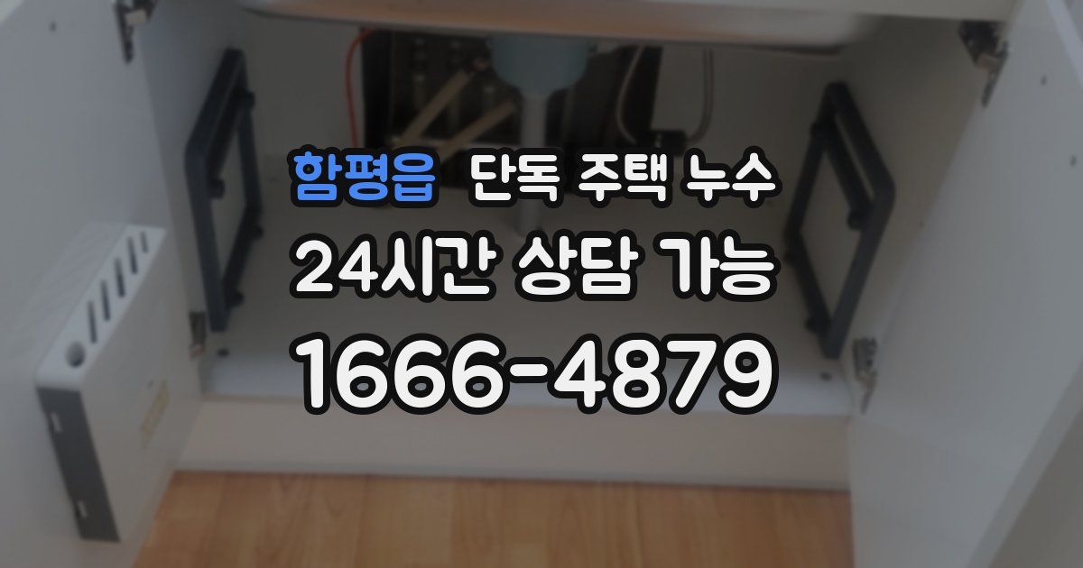 함평읍 단독 주택 누수