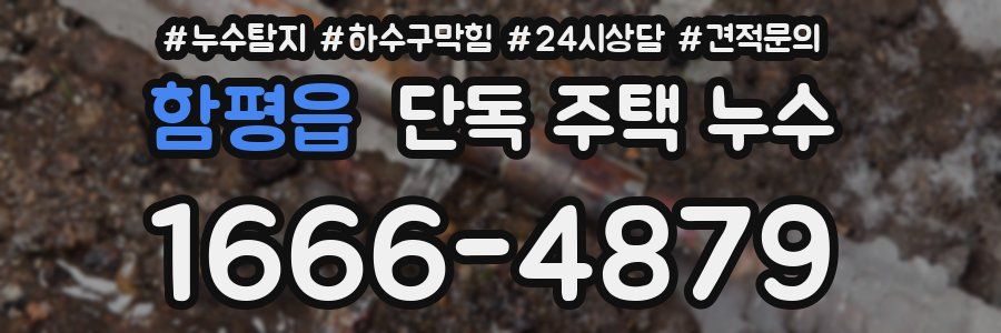 함평읍 단독 주택 누수