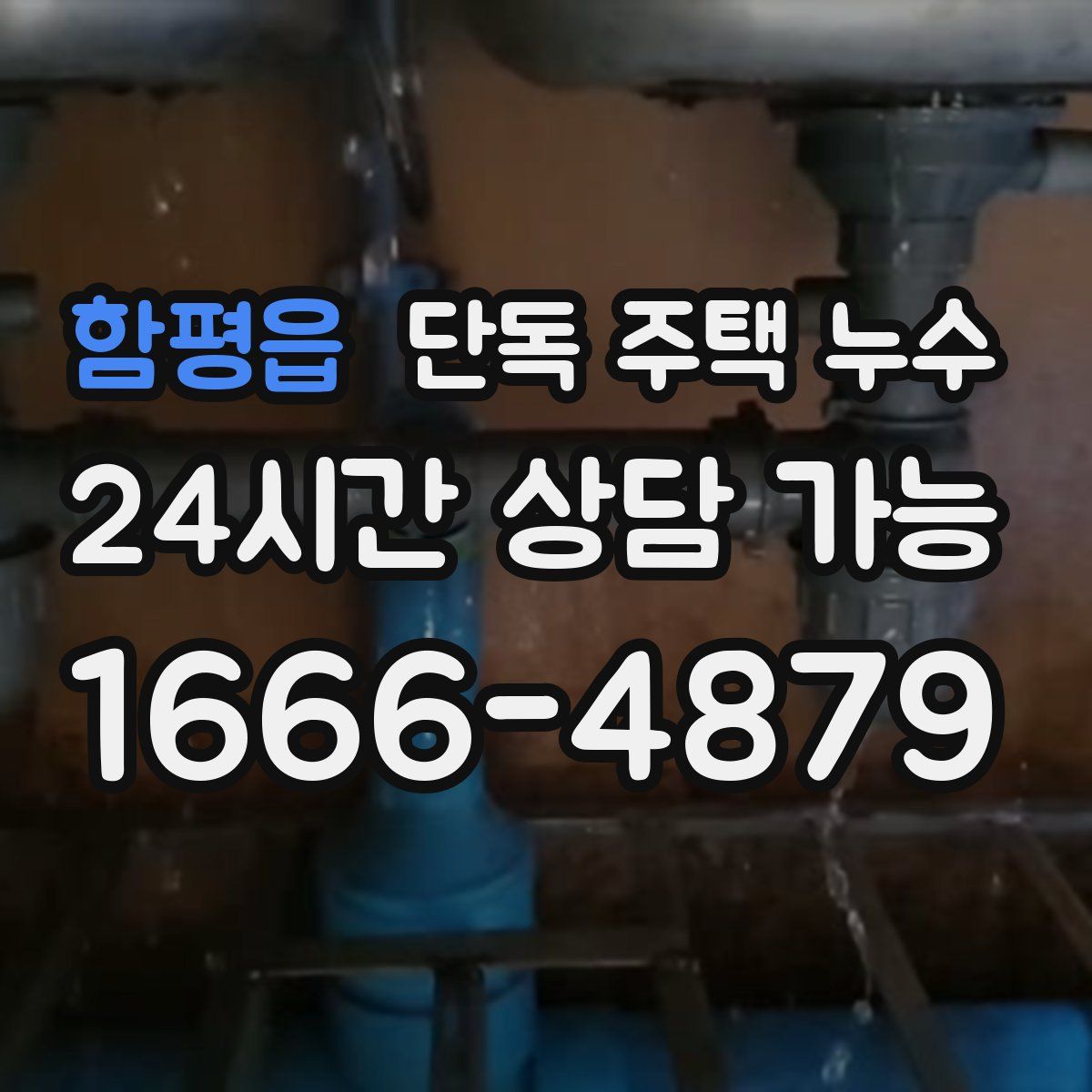 함평읍 단독 주택 누수