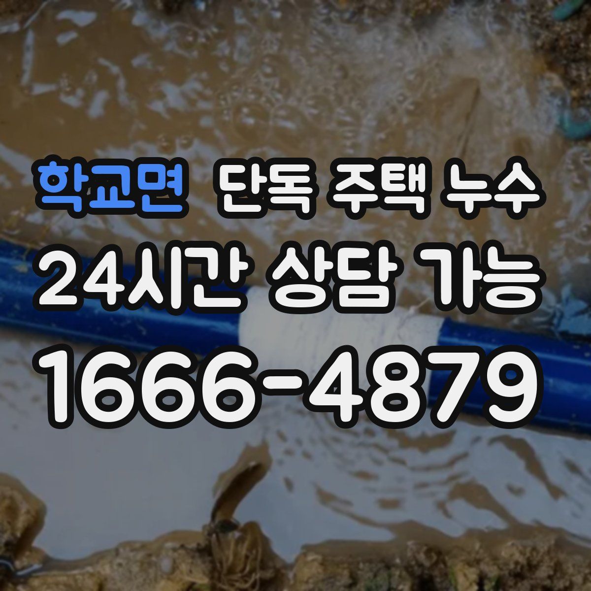 학교면 단독 주택 누수