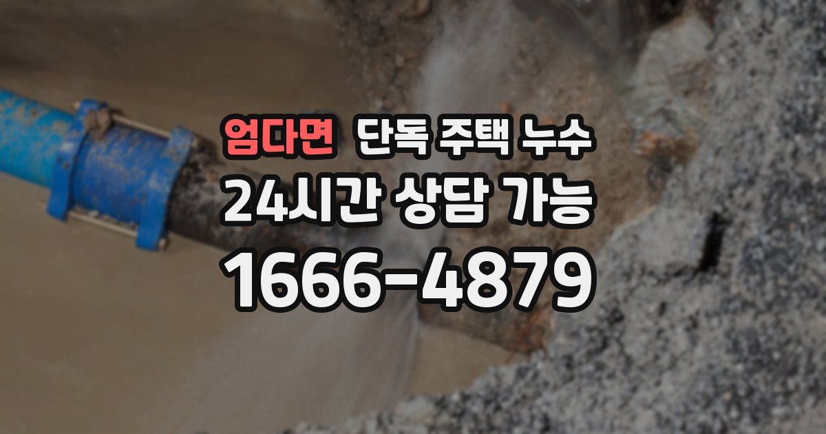 엄다면 단독 주택 누수