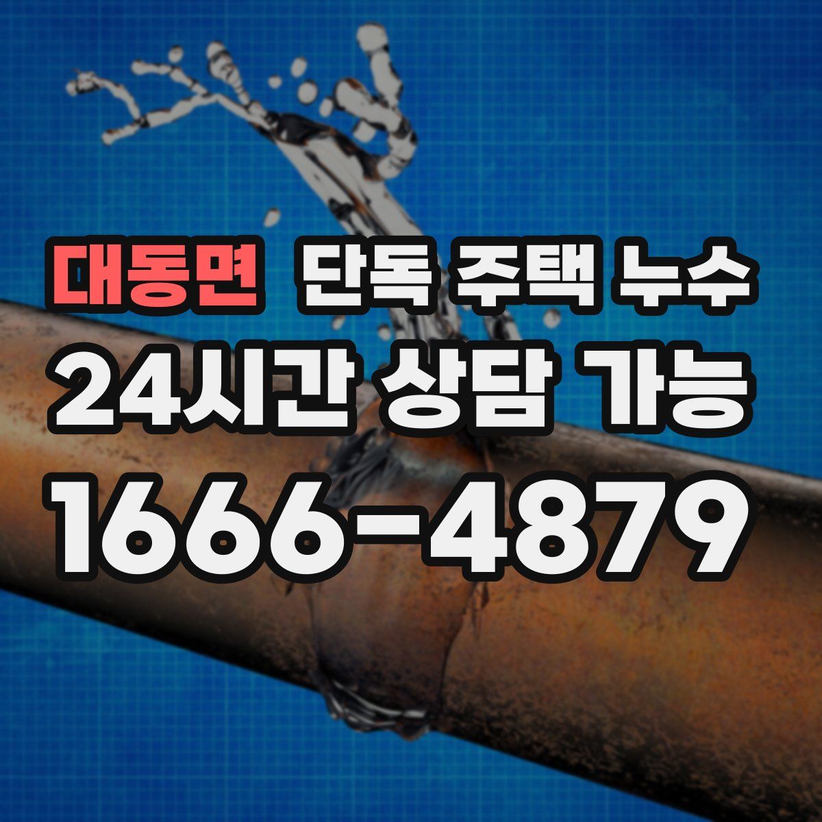 대동면 단독 주택 누수