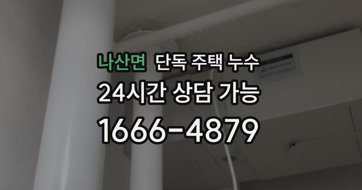 나산면 단독 주택 누수