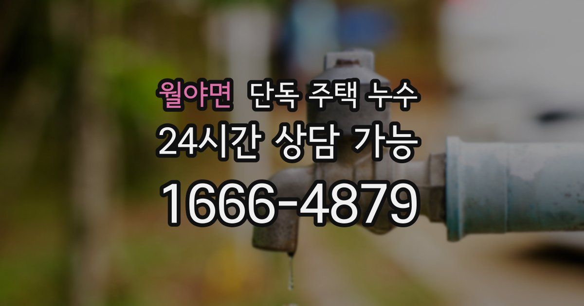 월야면 단독 주택 누수