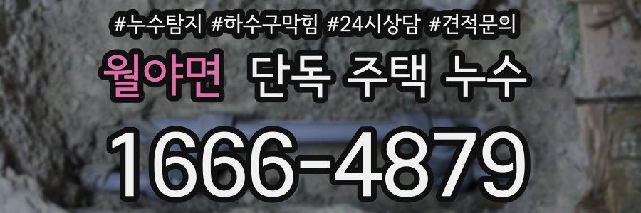 월야면 단독 주택 누수