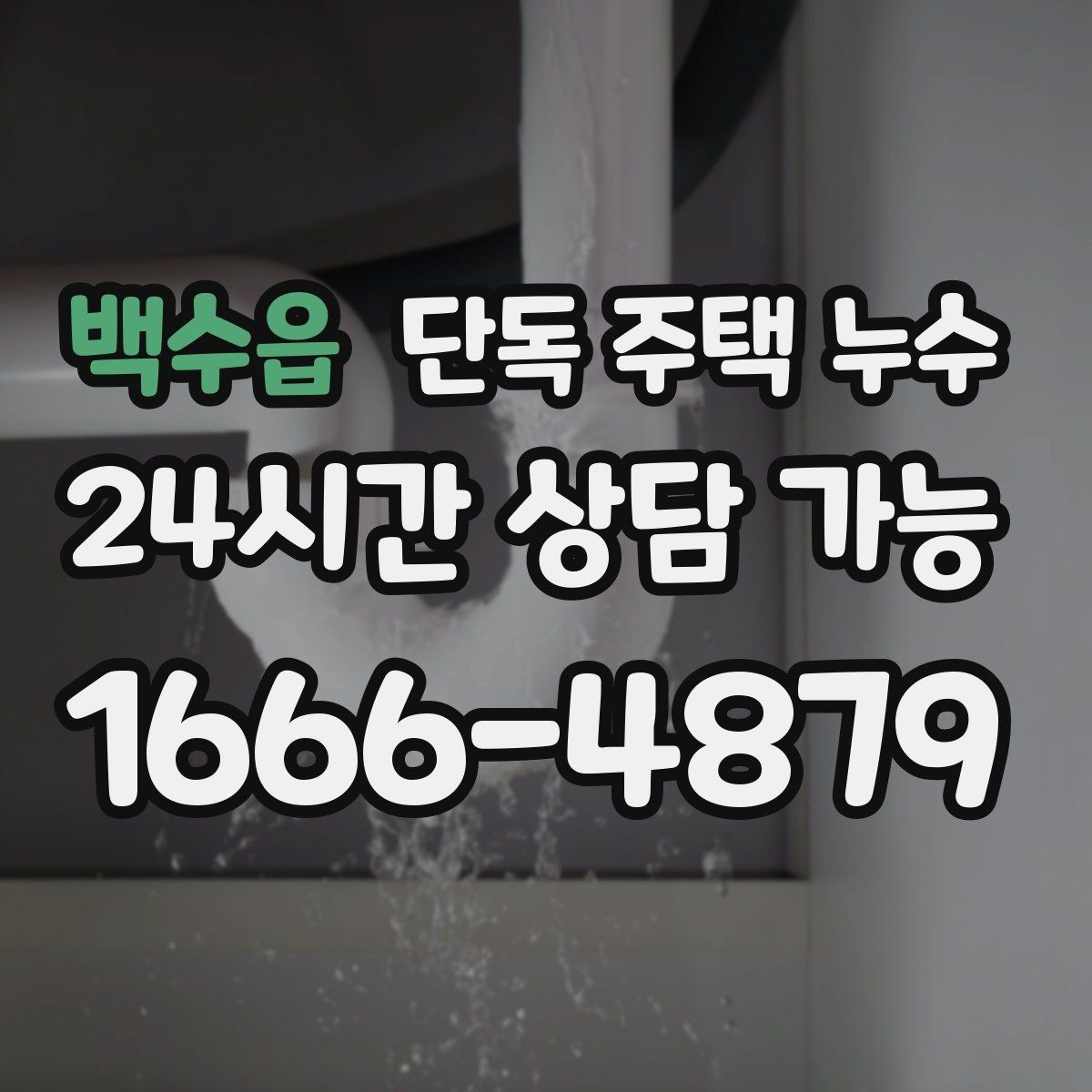 백수읍 단독 주택 누수 홈통 막힘이 실내 누수로 이어지는 과정