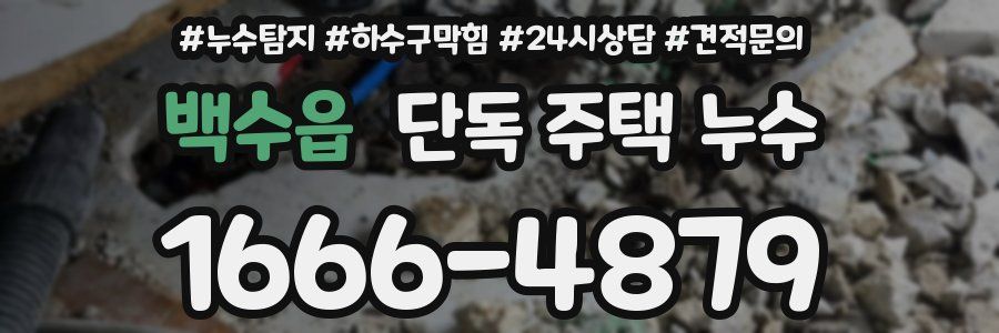 백수읍 단독 주택 누수