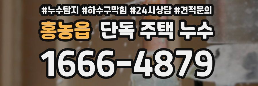 홍농읍 단독 주택 누수