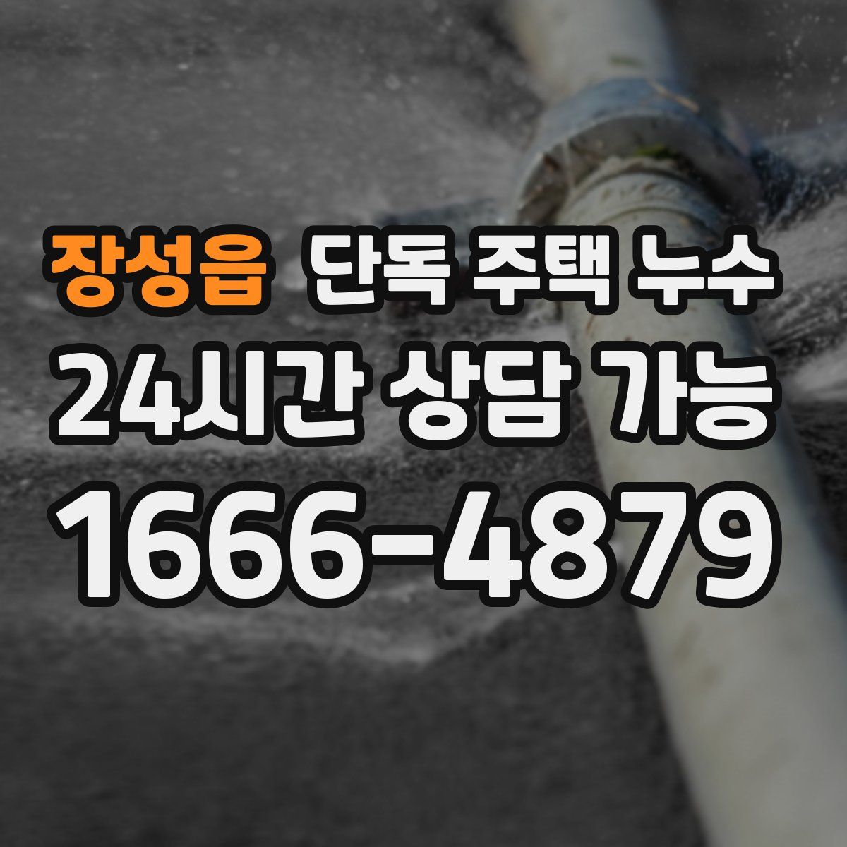 장성읍 단독 주택 누수