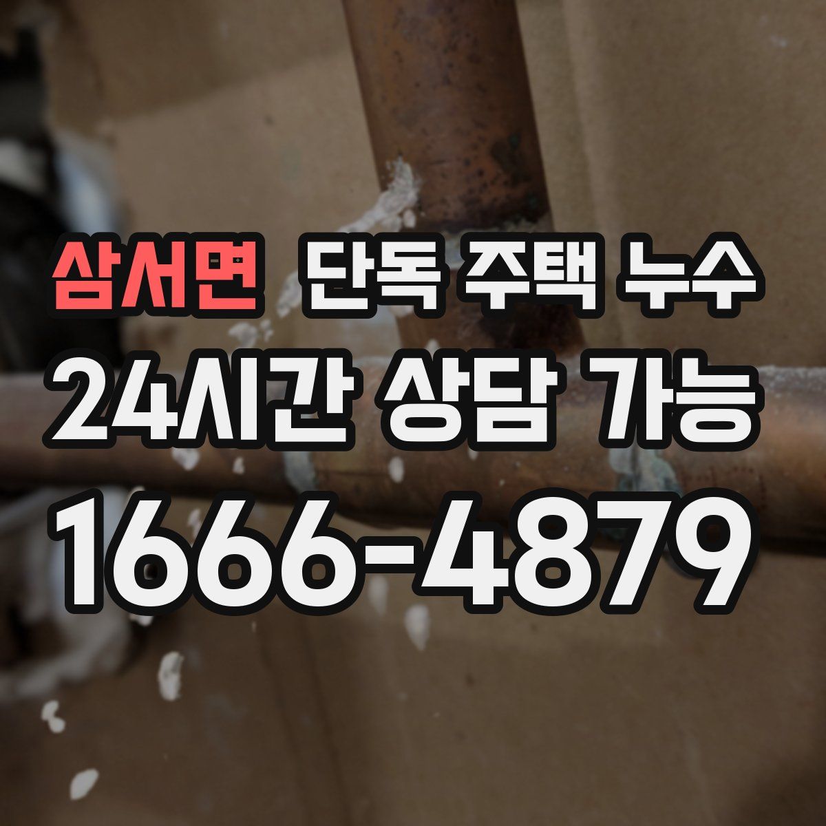 삼서면 단독 주택 누수