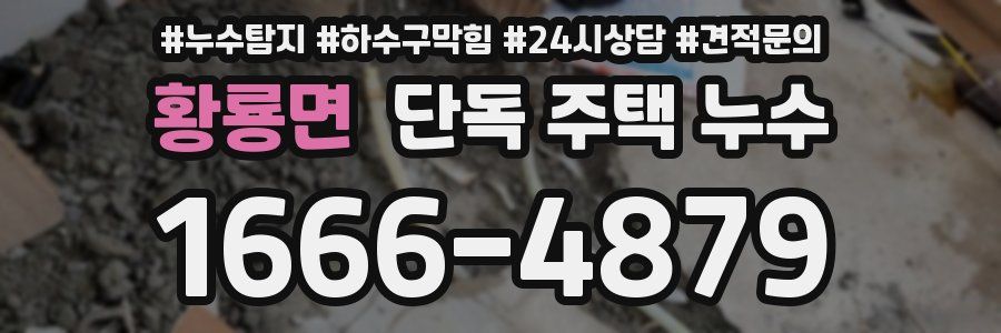 황룡면 단독 주택 누수