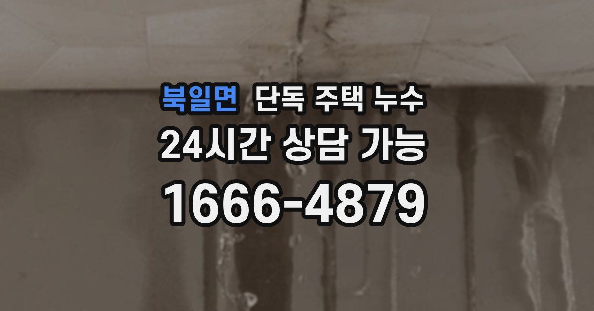북일면 단독 주택 누수