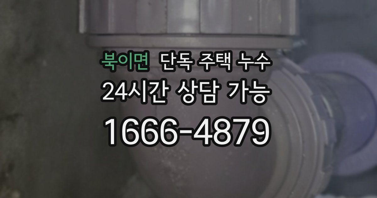 북이면 단독 주택 누수