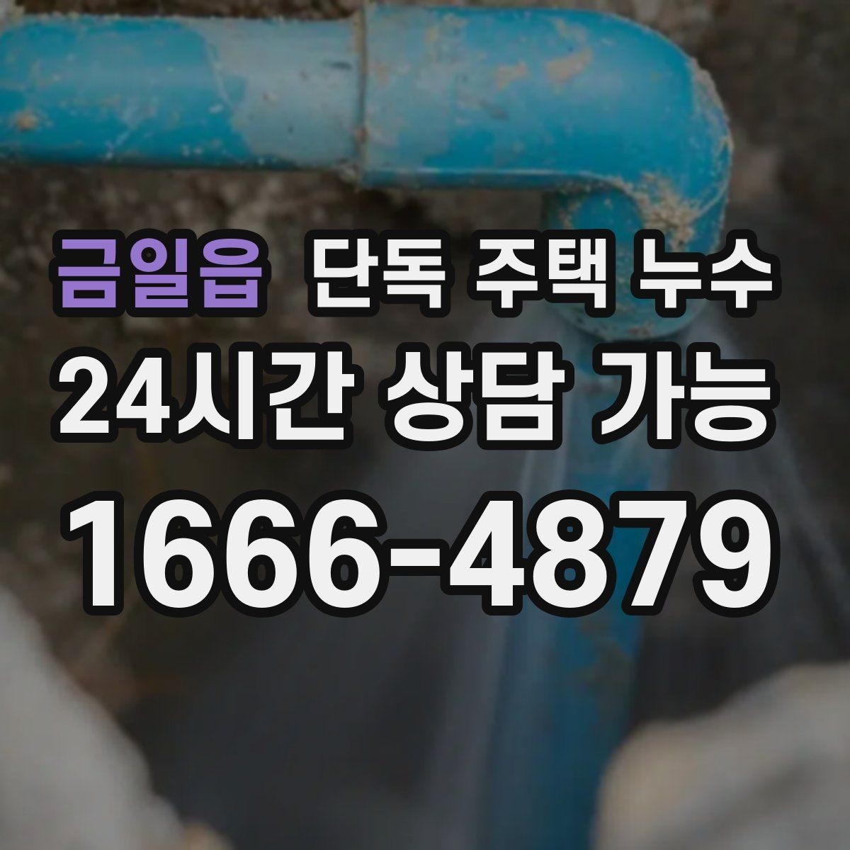 금일읍 단독 주택 누수 욕실 천장에서 물이 떨어질 때 원인
