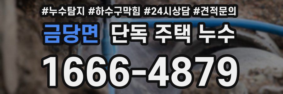 금당면 단독 주택 누수