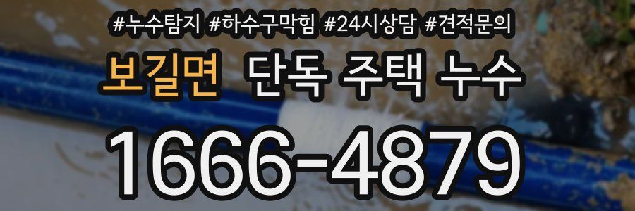 보길면 단독 주택 누수