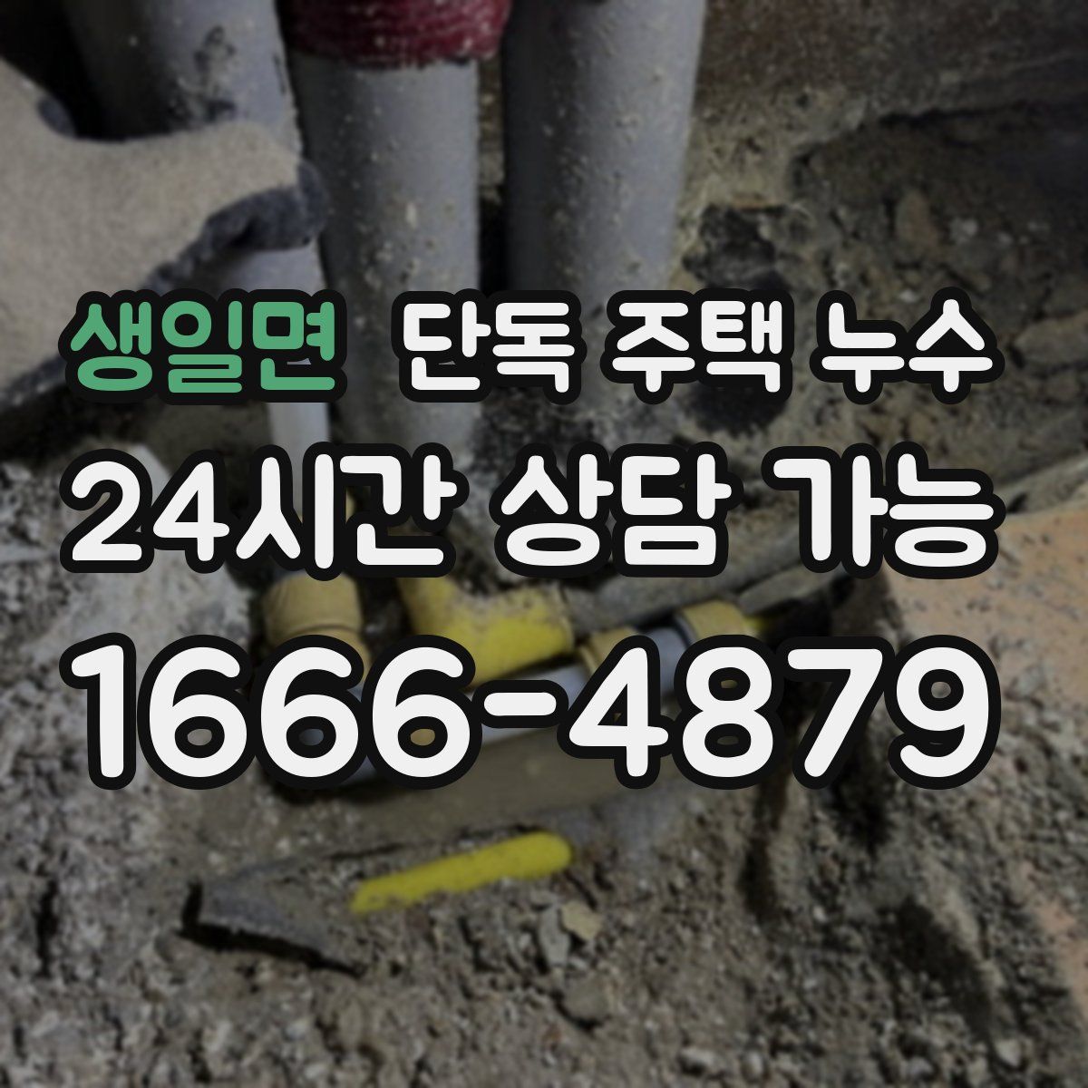 생일면 단독 주택 누수