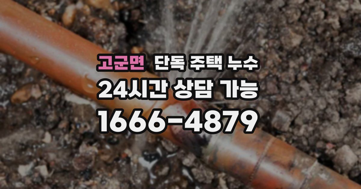 고군면 단독 주택 누수