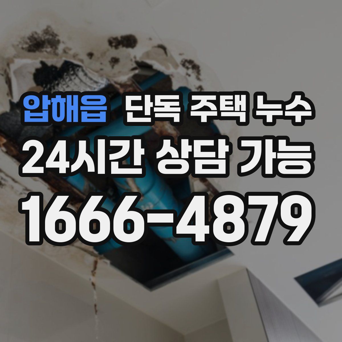 압해읍 단독 주택 누수