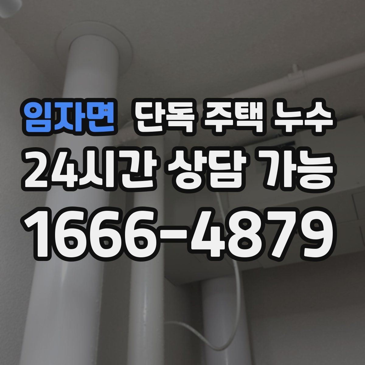 임자면 단독 주택 누수 겨울 뒤 동파가 지나가고 남는 미세 누수