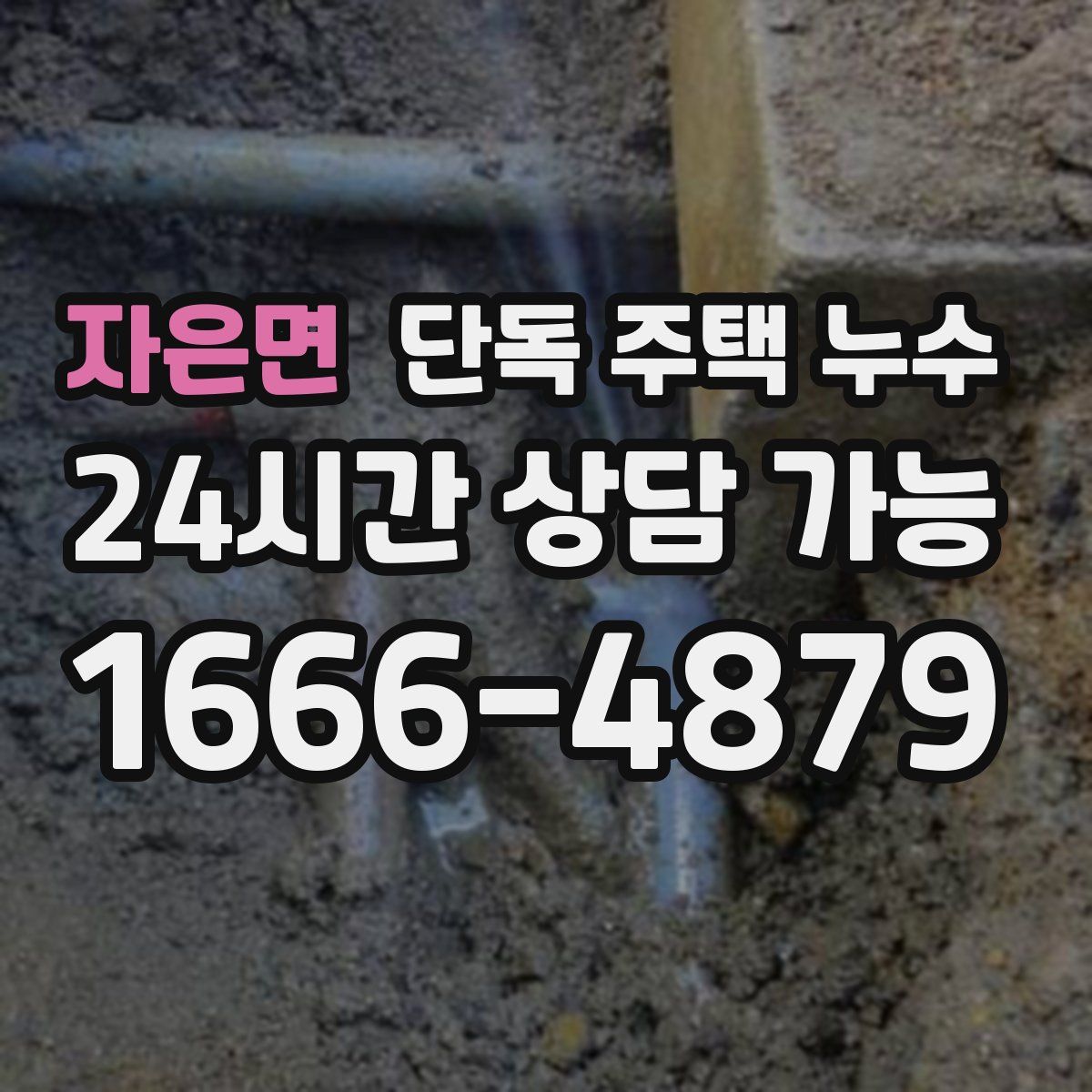 자은면 단독 주택 누수